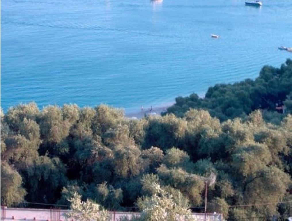Studios Nikolaou Bros Parga Dış mekan fotoğraf
