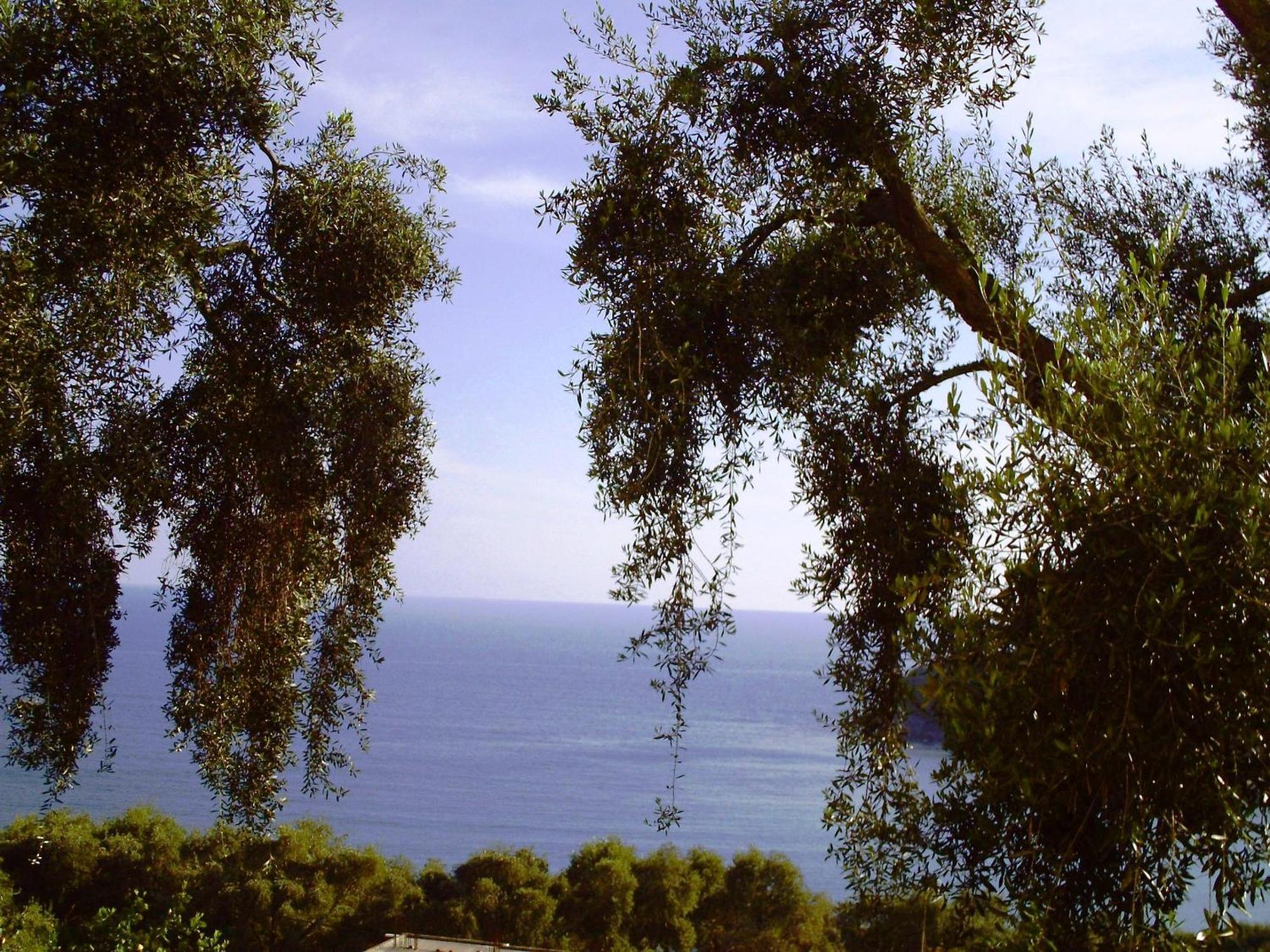 Studios Nikolaou Bros Parga Dış mekan fotoğraf