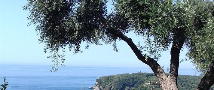 Studios Nikolaou Bros Parga Dış mekan fotoğraf